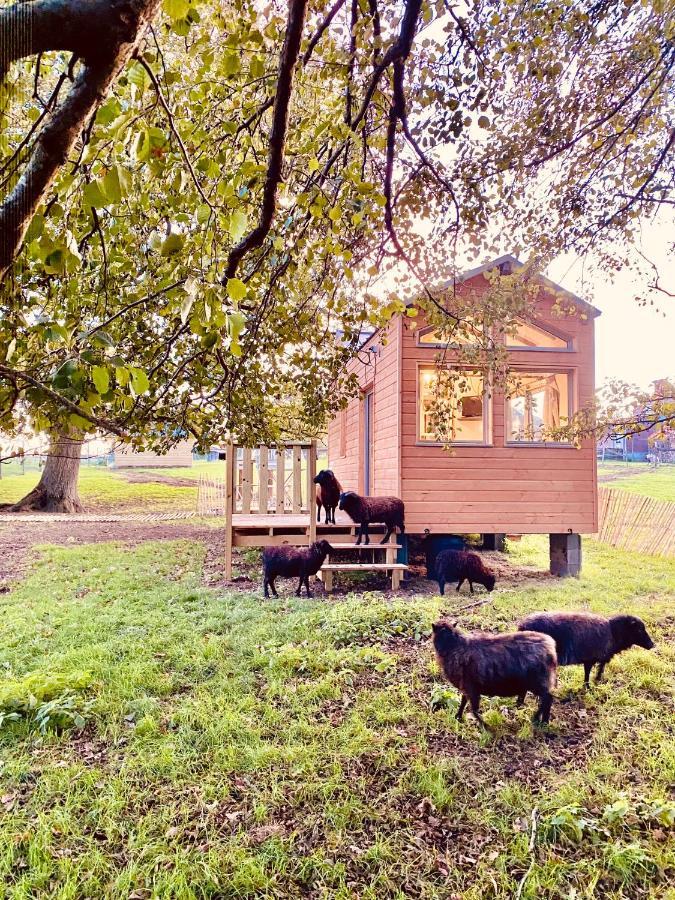 Jolie Tiny House Sous Les Grands Arbres Villa Cholet Kültér fotó