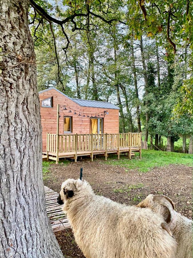 Jolie Tiny House Sous Les Grands Arbres Villa Cholet Kültér fotó