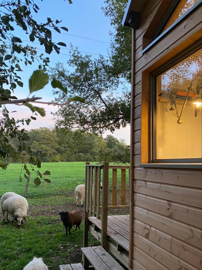 Jolie Tiny House Sous Les Grands Arbres Villa Cholet Kültér fotó
