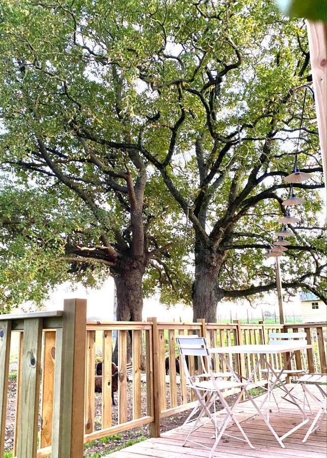 Jolie Tiny House Sous Les Grands Arbres Villa Cholet Kültér fotó